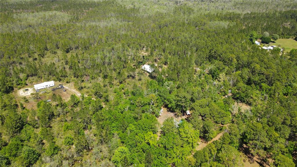 Northeast 108th Avenue Waldo, FL 32694 - Photo 11 of 11 a view of a green field