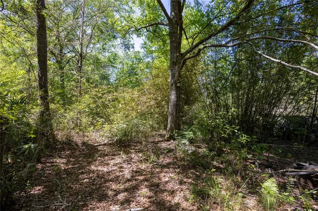 $69,900 | Northeast 108th Avenue, Waldo, FL 32694