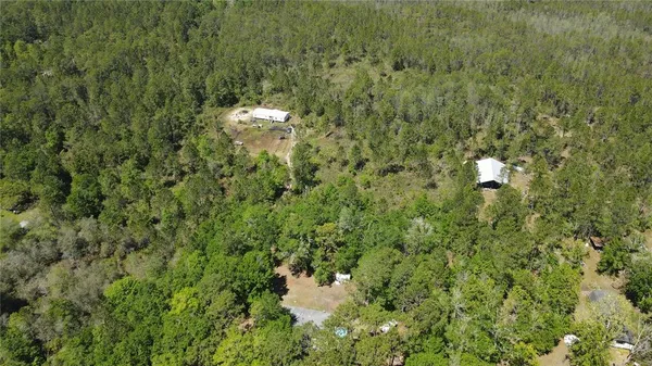 a picture of a tree in a field