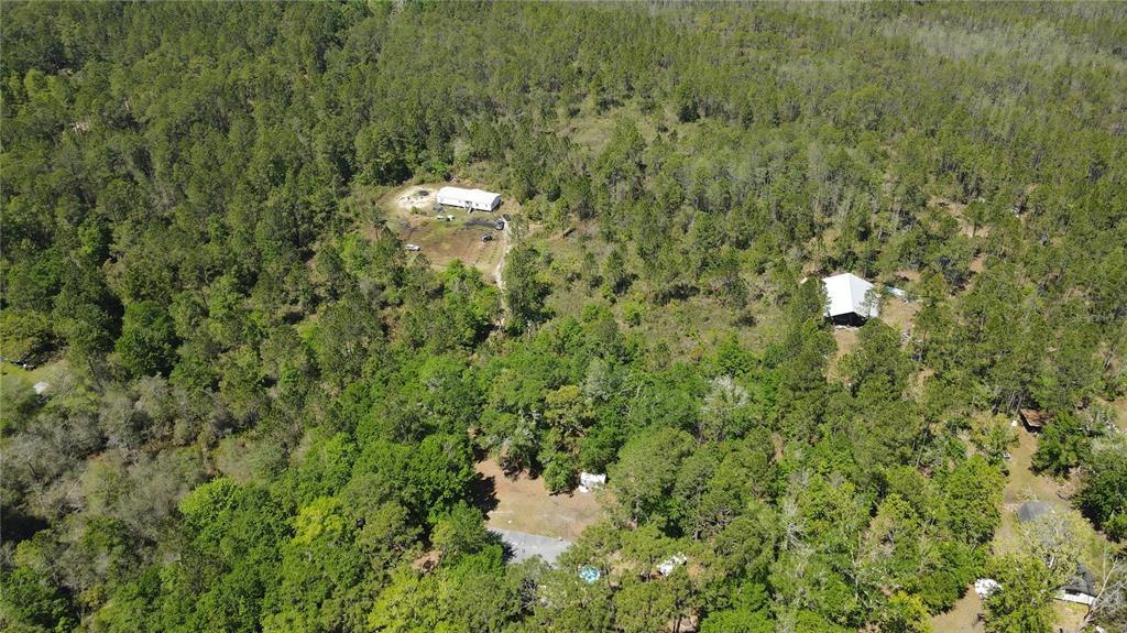 Northeast 108th Avenue Waldo, FL 32694 - Photo 7 of 11 a picture of a tree in a field