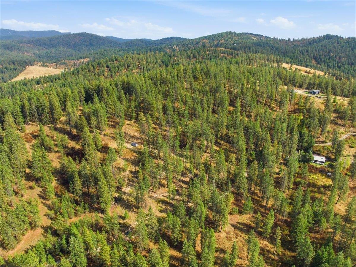 Tbd Tbd Unassigned Address Mead, WA 99021 - Photo 6 of 17 Gallery Image 6