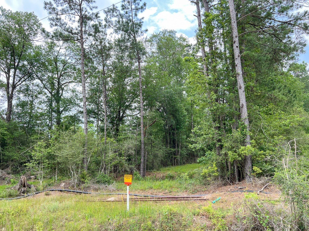 13 Old Arco Road Silsbee, TX 77656 - Photo 7 of 8
