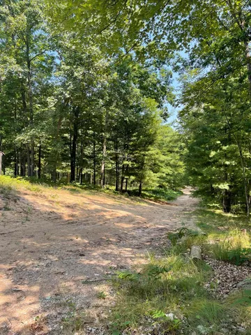 $170,000 | 10897 North Mac Road, Irons, MI 49644