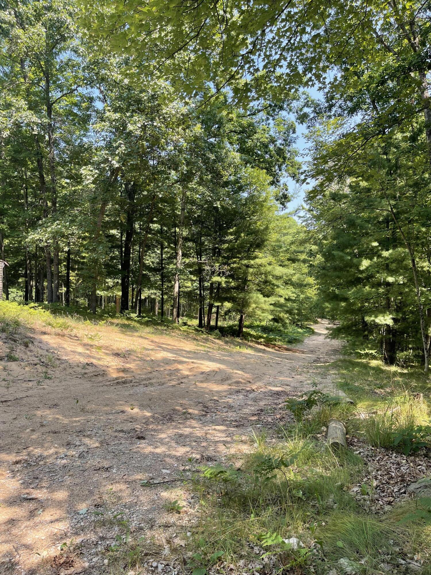 10897 North Mac Road Irons, MI 49644 - Photo 16 of 19 IMG_0207