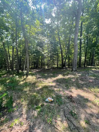 $170,000 | 10897 North Mac Road, Irons, MI 49644