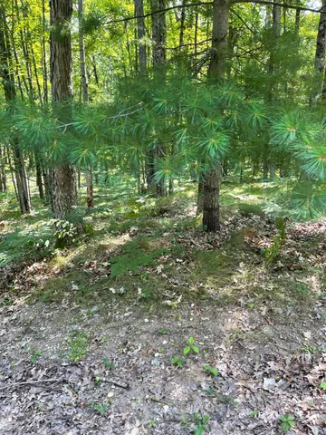 $170,000 | 10897 North Mac Road, Irons, MI 49644