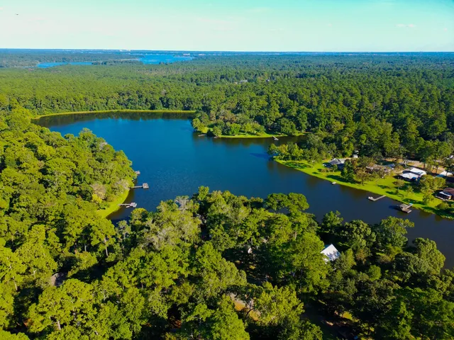 an aerial view of a houses with a lake