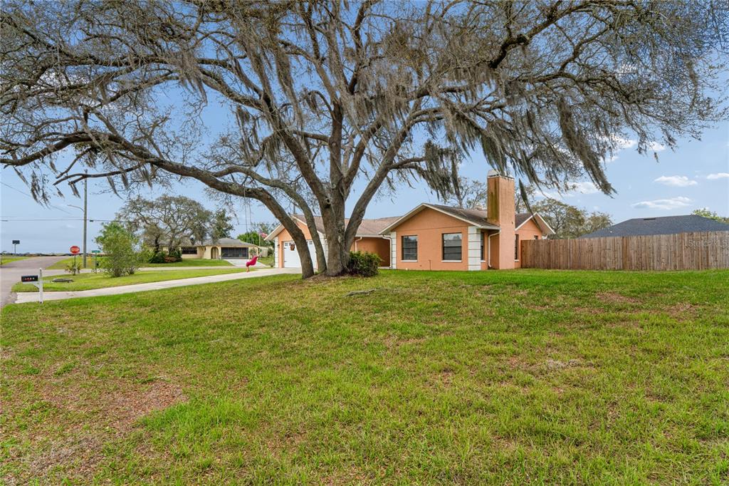3112 Polk Avenue Spring Hill, FL 34609 - Photo 44 of 50 a front view of a house with garden