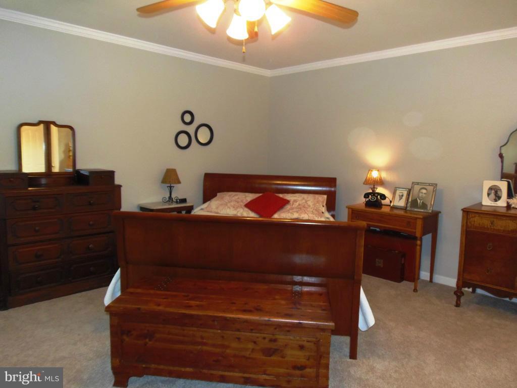 20299 Mountain Track Road Orange, VA 22960 - Photo 19 of 30 Bedroom (Master)