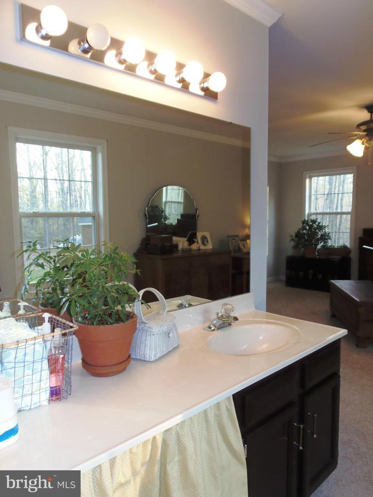 20299 Mountain Track Road Orange, VA 22960 - Photo 20 of 30 Bedroom (Master)