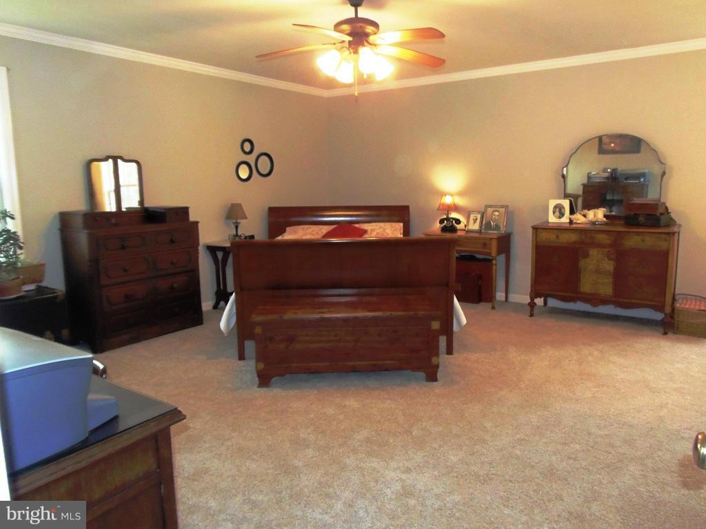 20299 Mountain Track Road Orange, VA 22960 - Photo 21 of 30 Bedroom (Master)