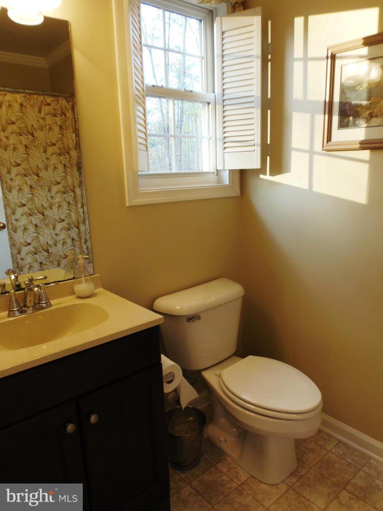 20299 Mountain Track Road Orange, VA 22960 - Photo 22 of 30 Bath (Master)