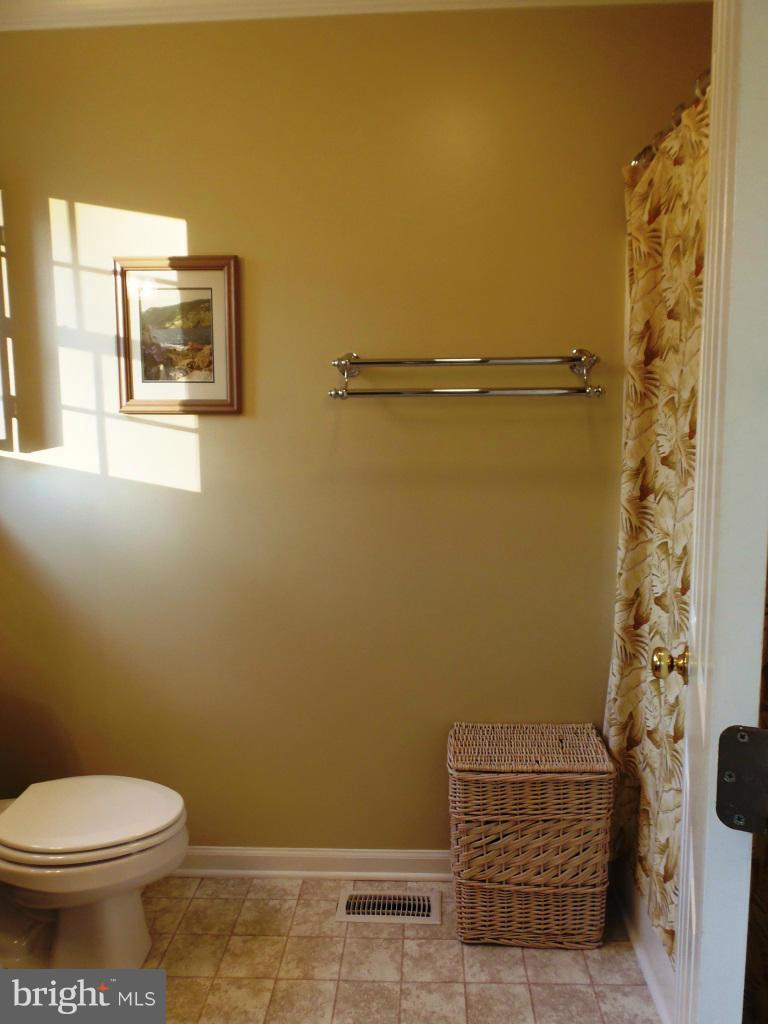 20299 Mountain Track Road Orange, VA 22960 - Photo 23 of 30 Bath (Master)