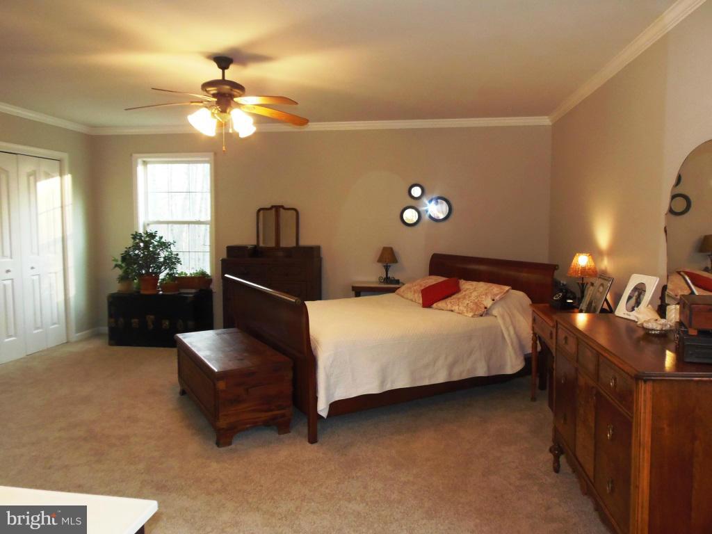 20299 Mountain Track Road Orange, VA 22960 - Photo 24 of 30 Bedroom (Master)