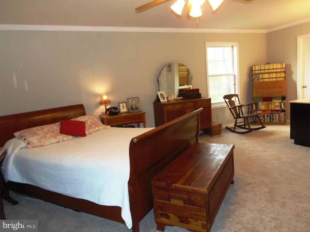 20299 Mountain Track Road Orange, VA 22960 - Photo 25 of 30 Bedroom (Master)