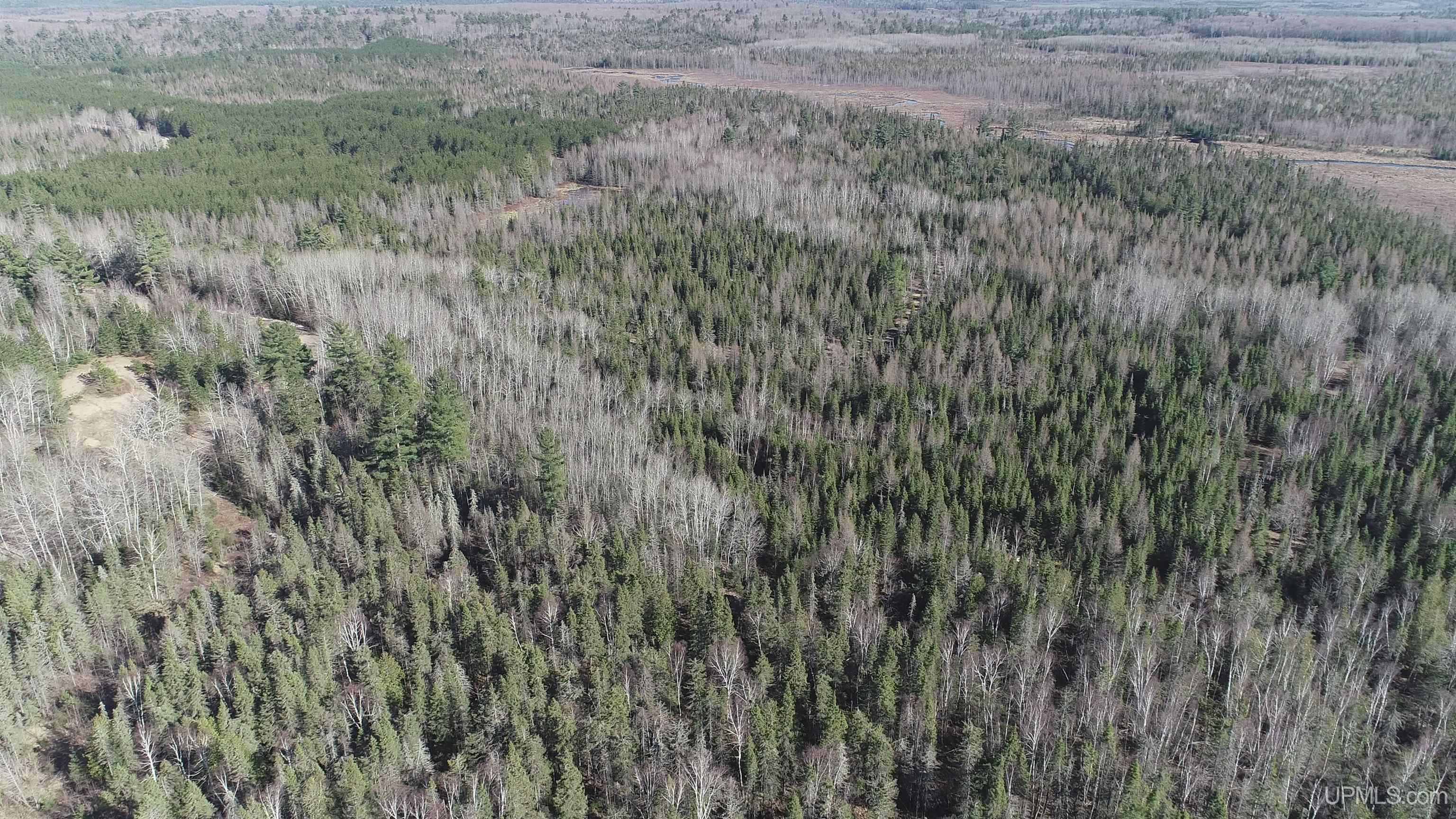 79.7-acres 79.7-acres Co Road Ishpeming, MI 49849 - Photo 29 of 30