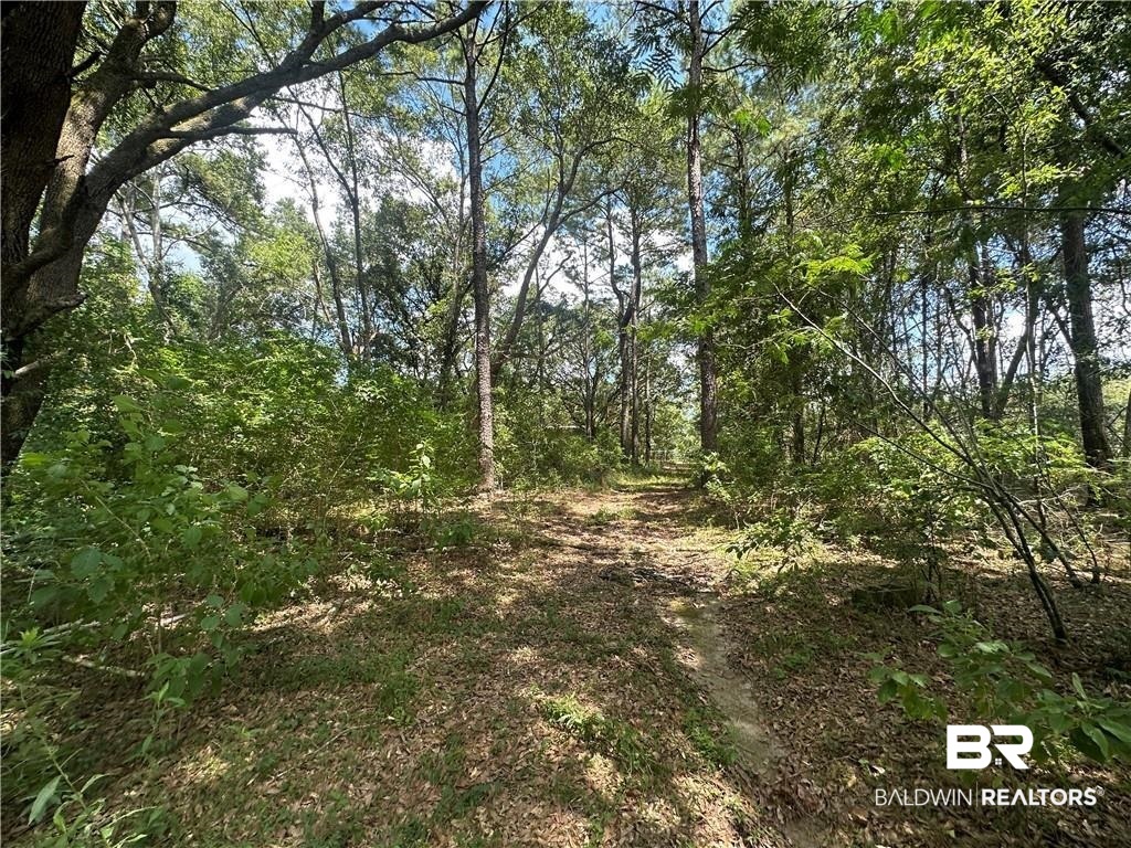 5873 Lundy Road Theodore, AL 36582 - Photo 1 of 4