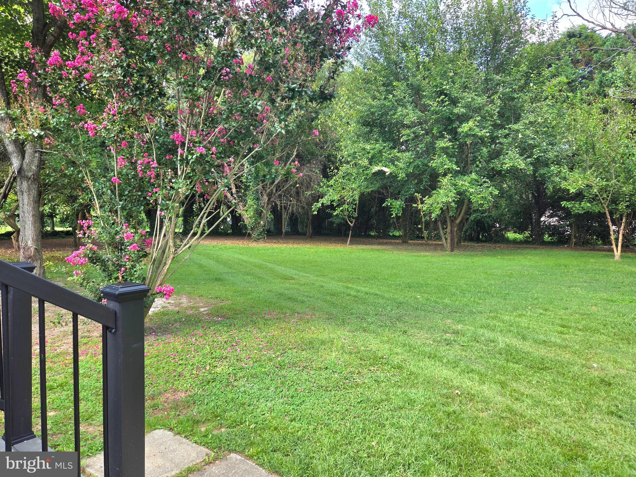 4208 Ridge Crest Road Hurlock, MD 21643 - Photo 5 of 29 From deck rear yard