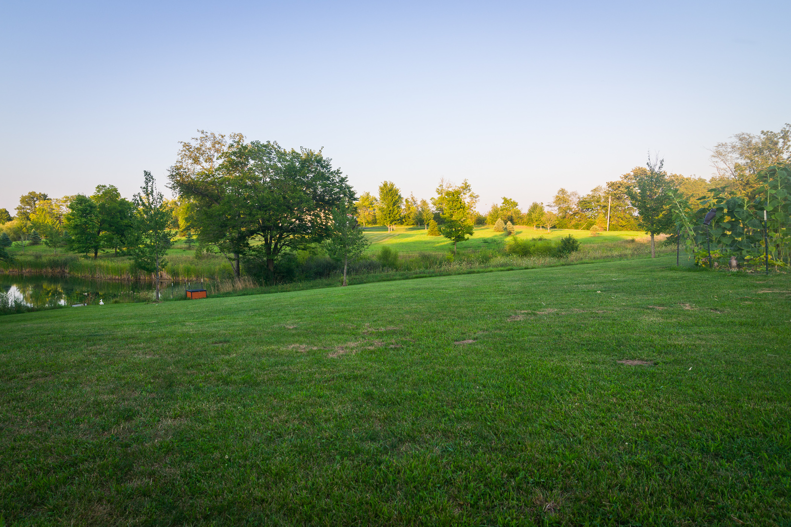5289 East Road Clinton, IL 61727 - Photo 33 of 41 a yard with lots of green space and trees in the background