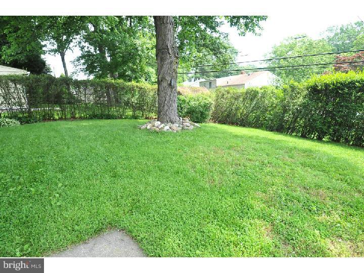 1329 Green Road Abington, PA 19001 - Photo 16 of 17 Back Yard