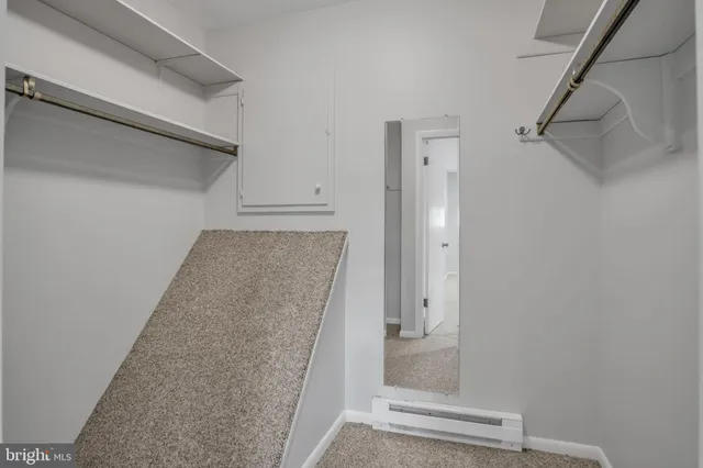 a front view of house with yard and trees