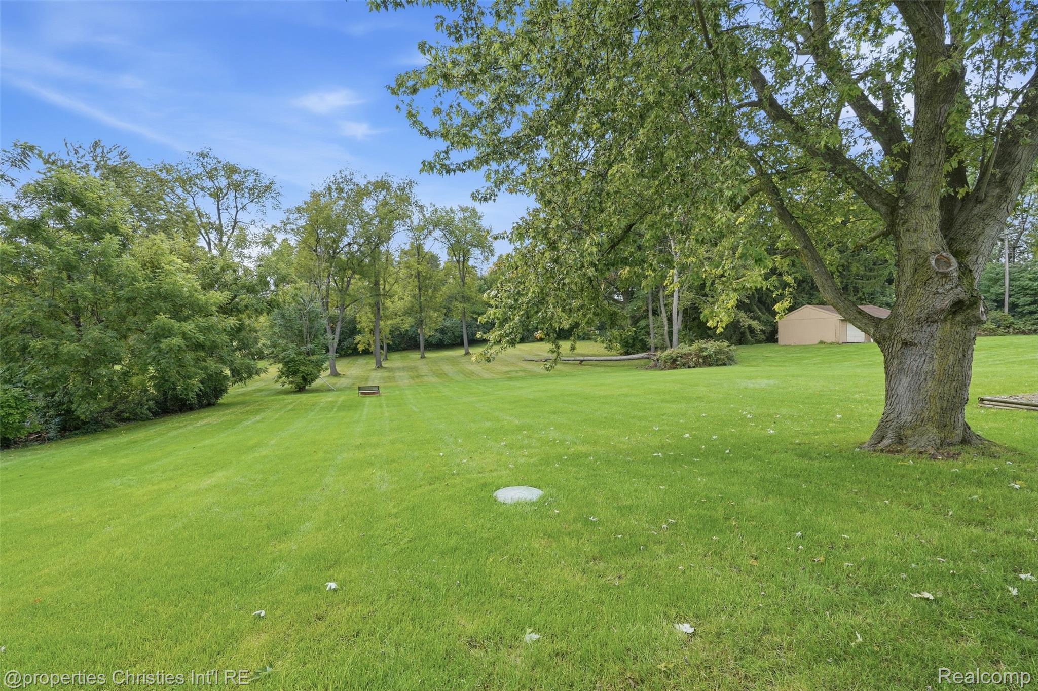 4030 Textile Road Ypsilanti, MI 48197 - Photo 43 of 58 Expansive green lawn with mature trees and a tan storage shed