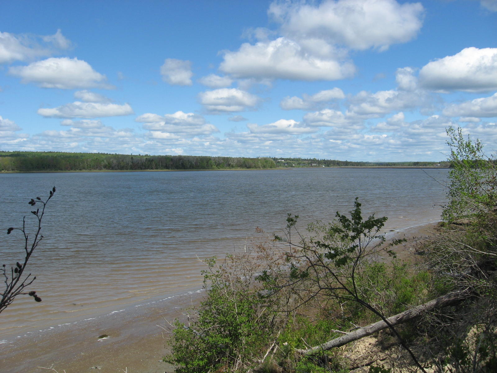 15 East Side Road Addison, ME 04606 - Photo 5 of 5 IMG_0005