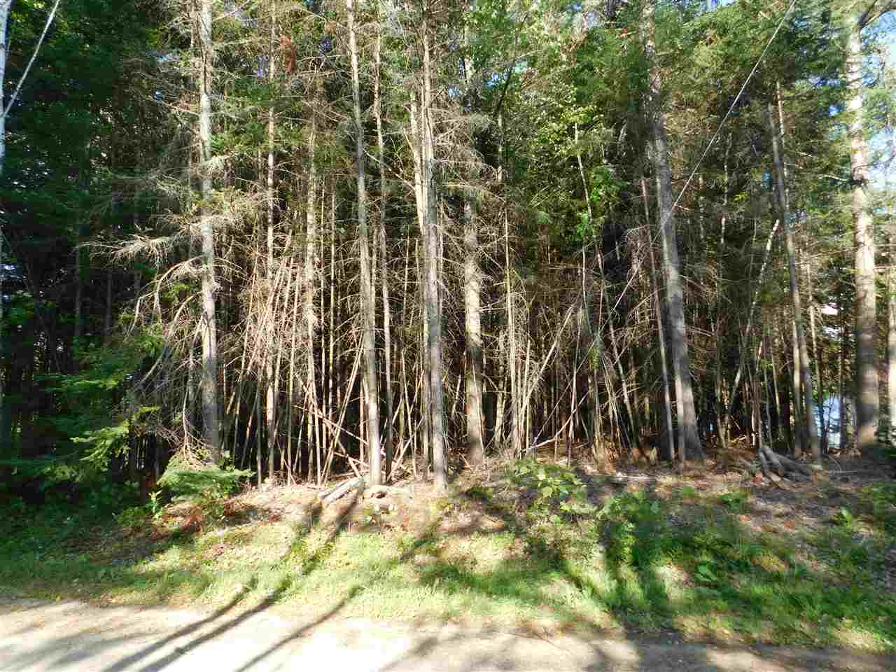 Bean Road, Unit 45 Errol, NH 03579 - Photo 2 of 6 Gallery Image 2