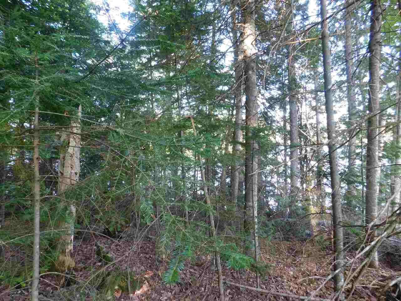 Bean Road, Unit 45 Errol, NH 03579 - Photo 4 of 6 Gallery Image 4