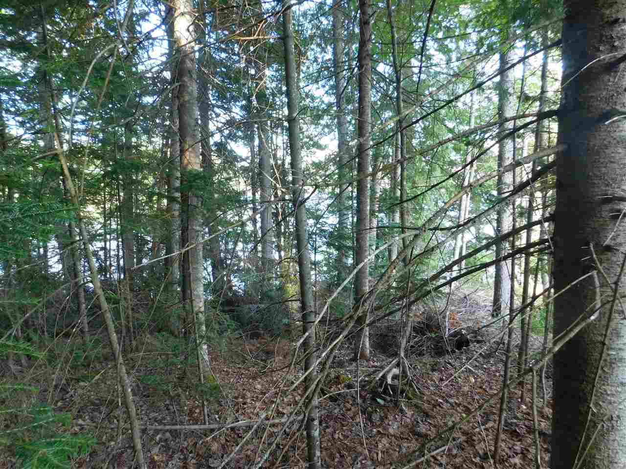 Bean Road, Unit 45 Errol, NH 03579 - Photo 5 of 6 Gallery Image 5