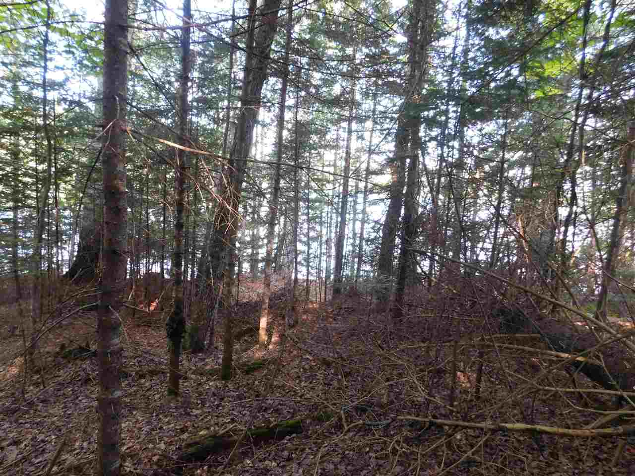 Bean Road, Unit 45 Errol, NH 03579 - Photo 6 of 6 Gallery Image 6