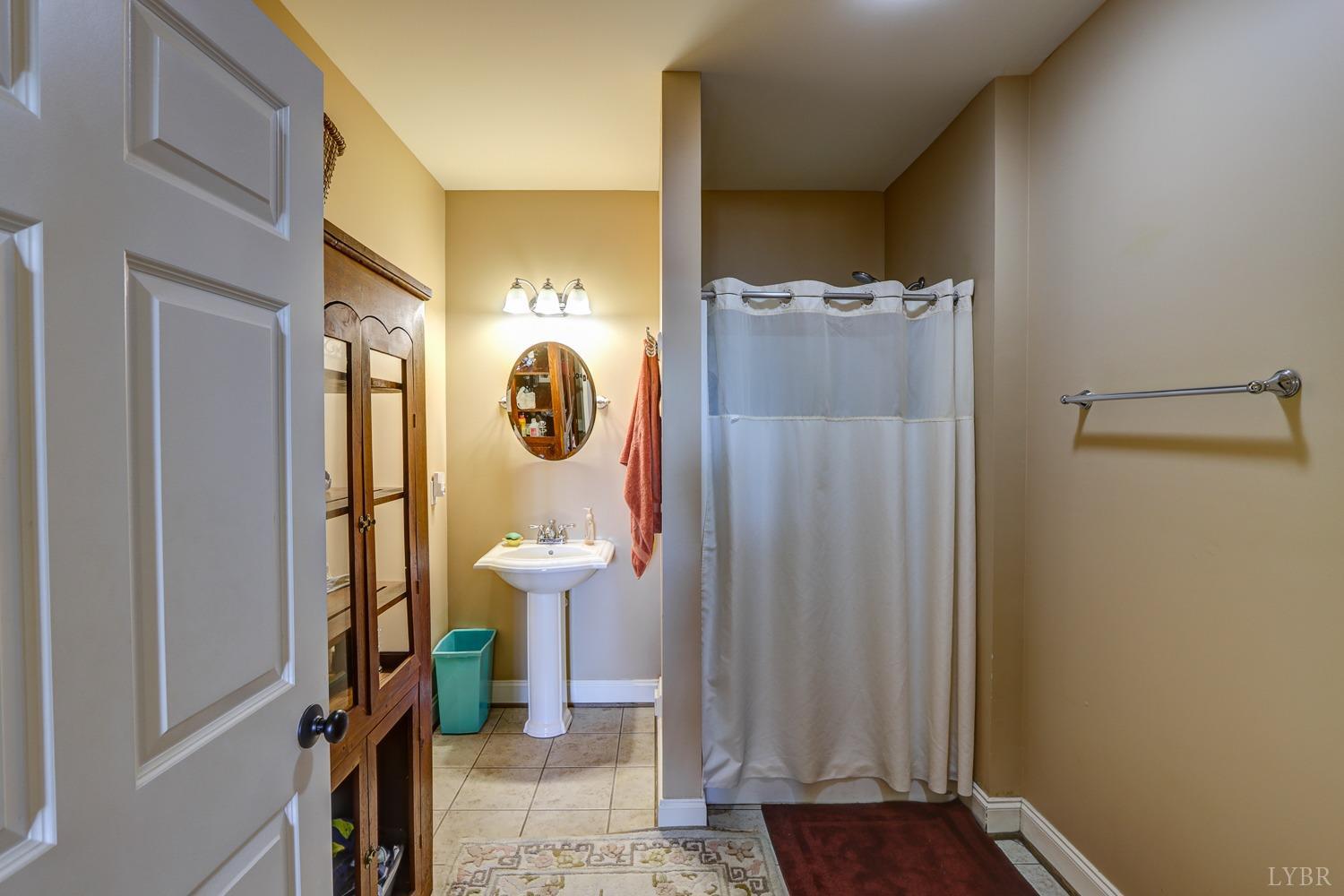 107 Emory Way Amherst, VA 24521 - Photo 57 of 84 Terrace level ensuite bath