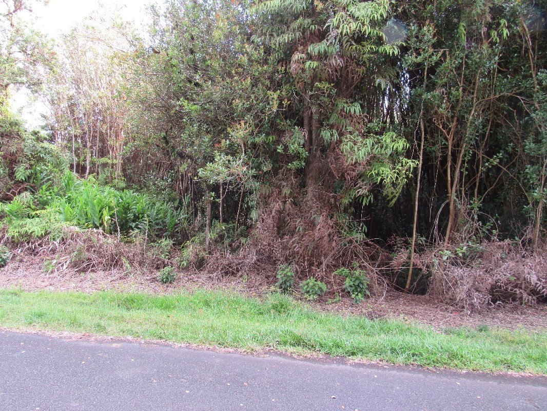 25 Ekika Road Mountain View, HI 96771 - Photo 1 of 3 a backyard of a house with plants and large trees