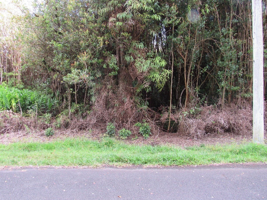 25 Ekika Road Mountain View, HI 96771 - Photo 2 of 3 a backyard of a house with plants and large trees