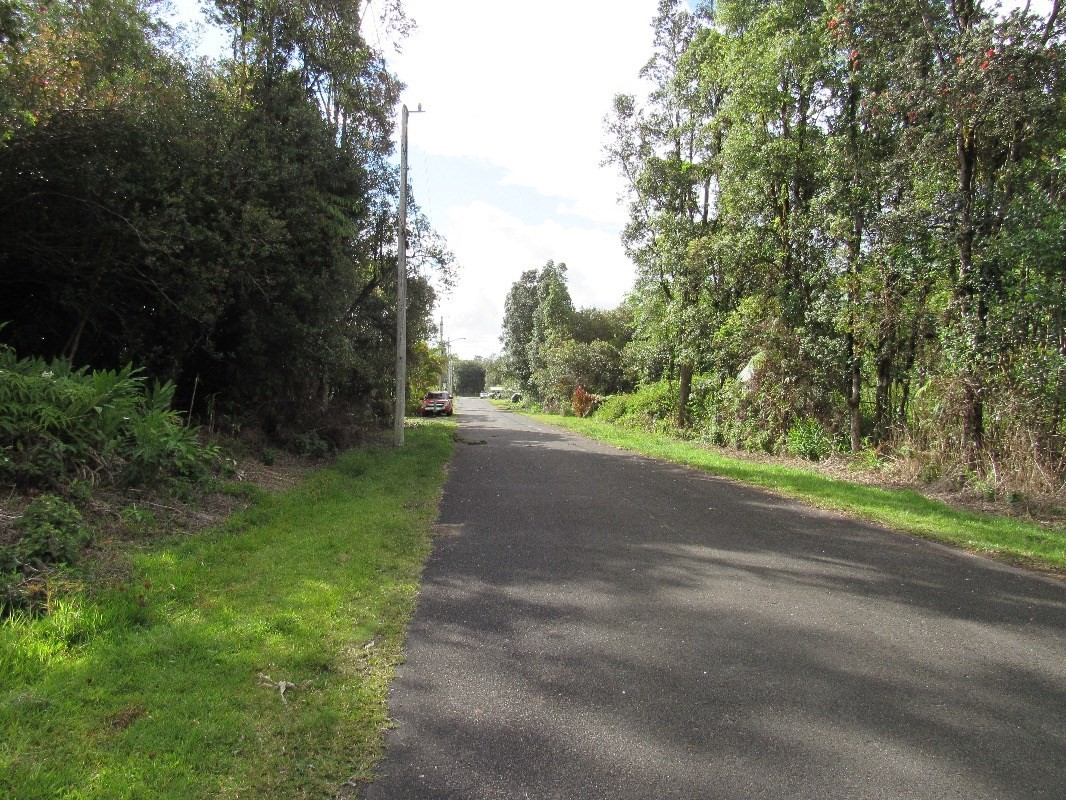 25 Ekika Road Mountain View, HI 96771 - Photo 3 of 3 a view of road view with large trees