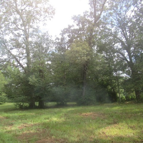0 Thompson Road Smithdale, MS 39664 - Photo 3 of 19 Photo 3