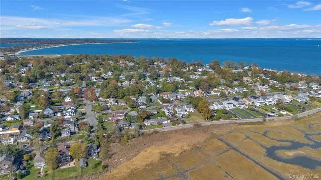 a pathway of a house with a small yard plants and large tree