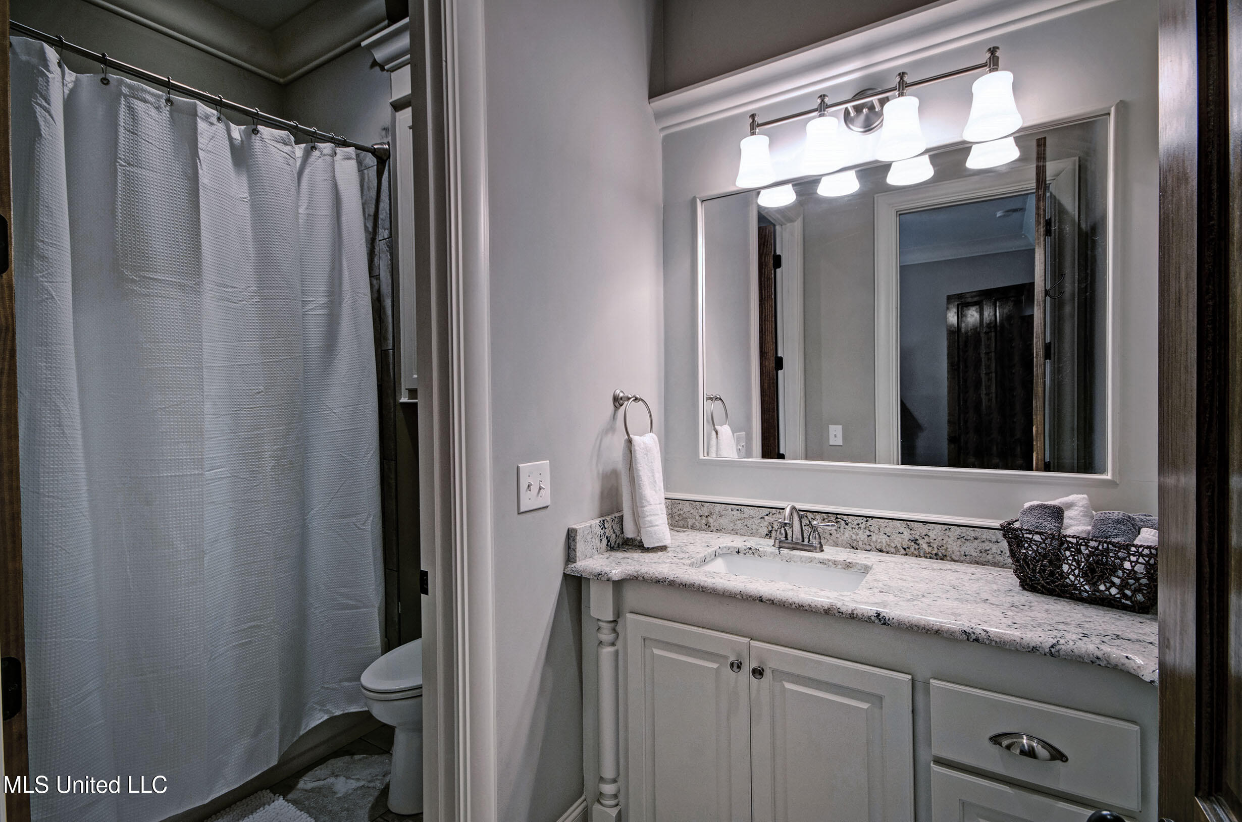 307 Natchez Court Flowood, MS 39232 - Photo 32 of 55 IMGP4127_8_9