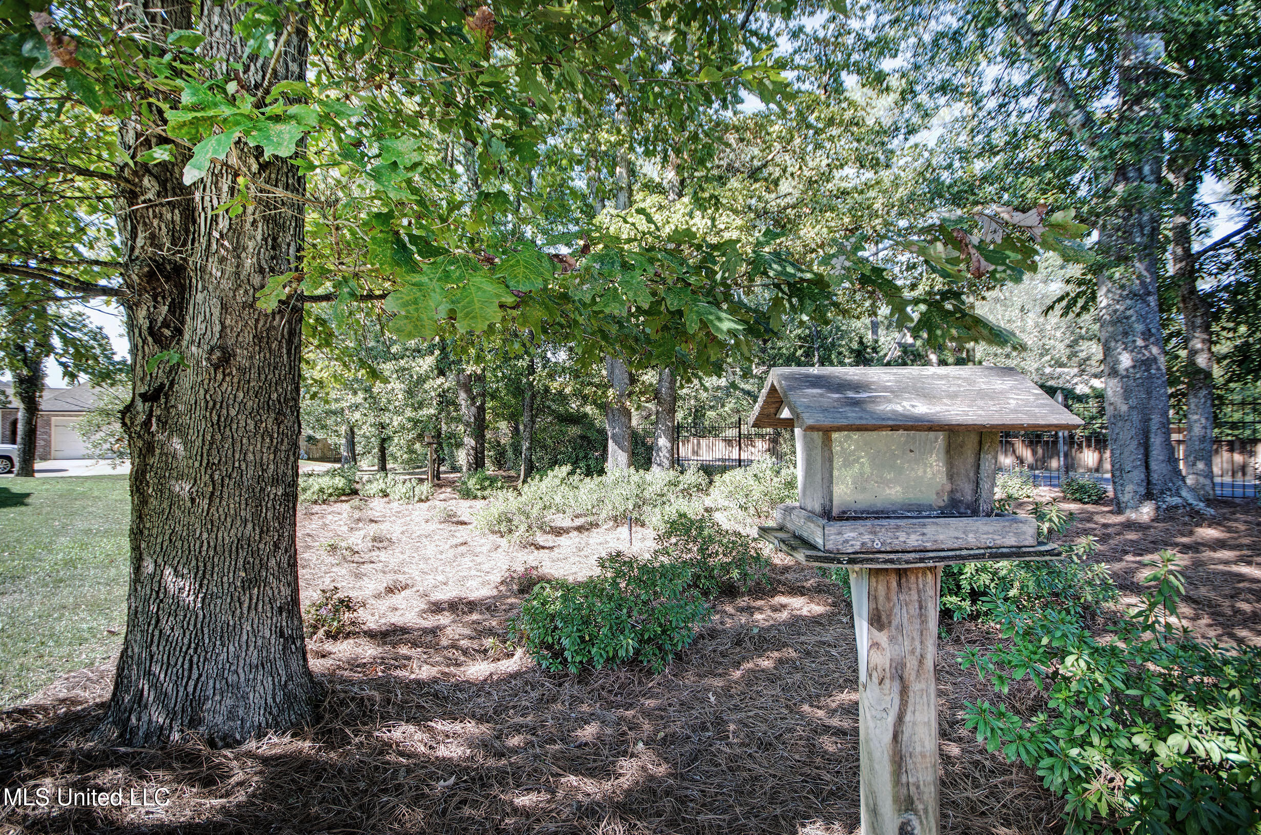 307 Natchez Court Flowood, MS 39232 - Photo 9 of 55 IMGP4055_6_7