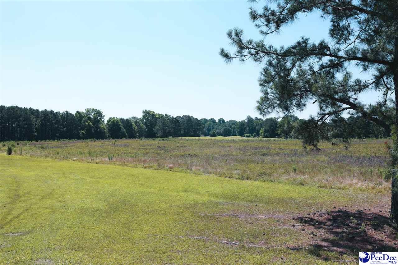 72-acres Claussen Road Florence, SC 29505 - Photo 2 of 8 Gallery Image 2