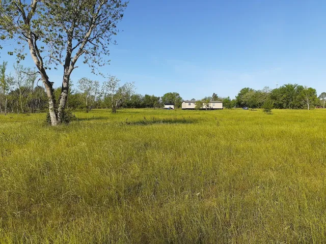 a view of an ocean from a yard