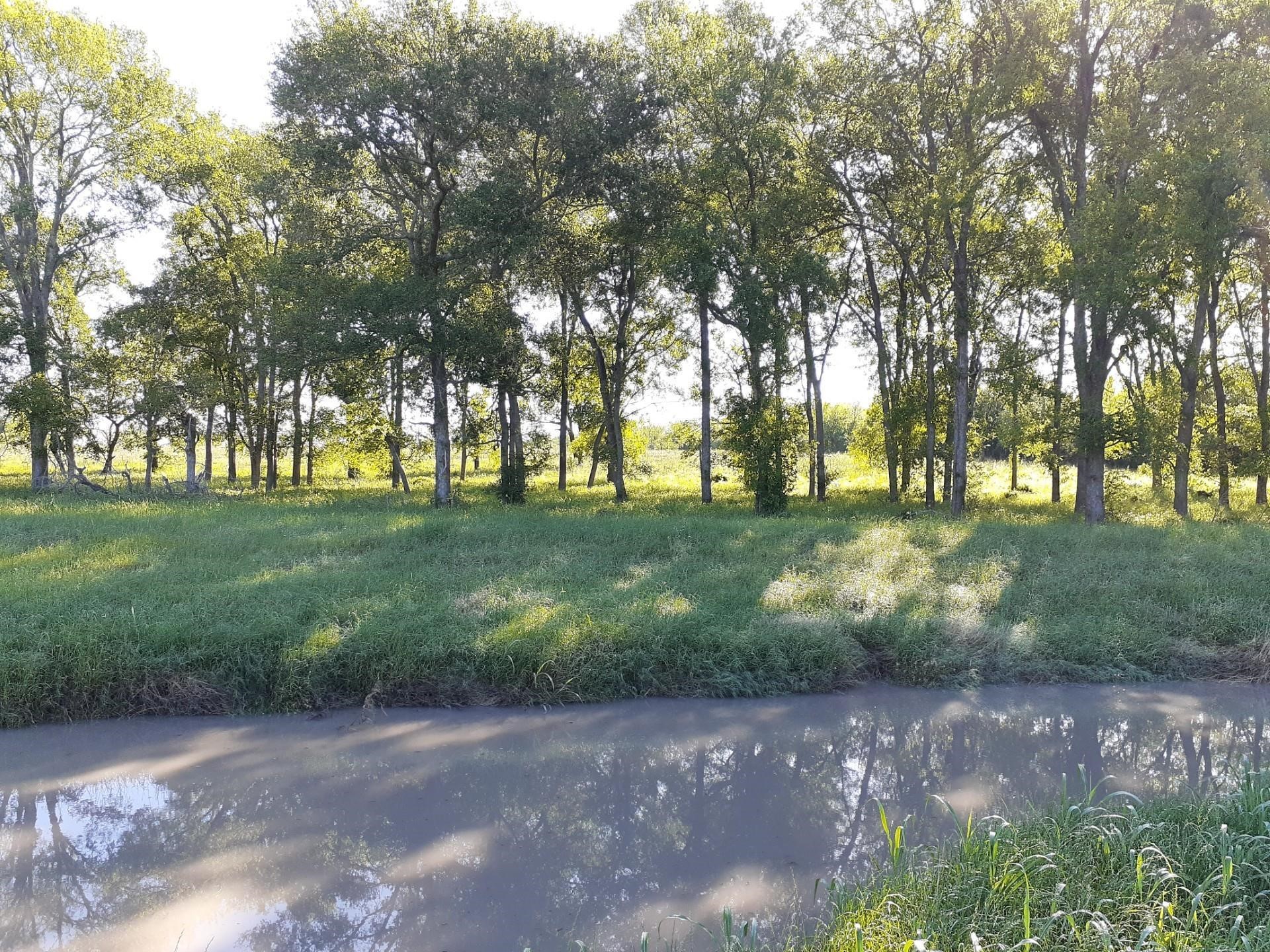 411 Wright Road East Bernard, TX 77435 - Photo 12 of 14 a view of a park