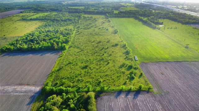 a view of a garden with a lake