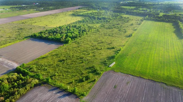 a view of a garden with a lake