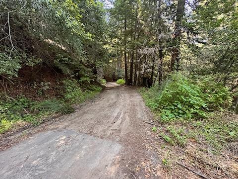 750 Tie Gulch Road Santa Cruz, CA 95065 - Photo 15 of 60 Gallery Image 15