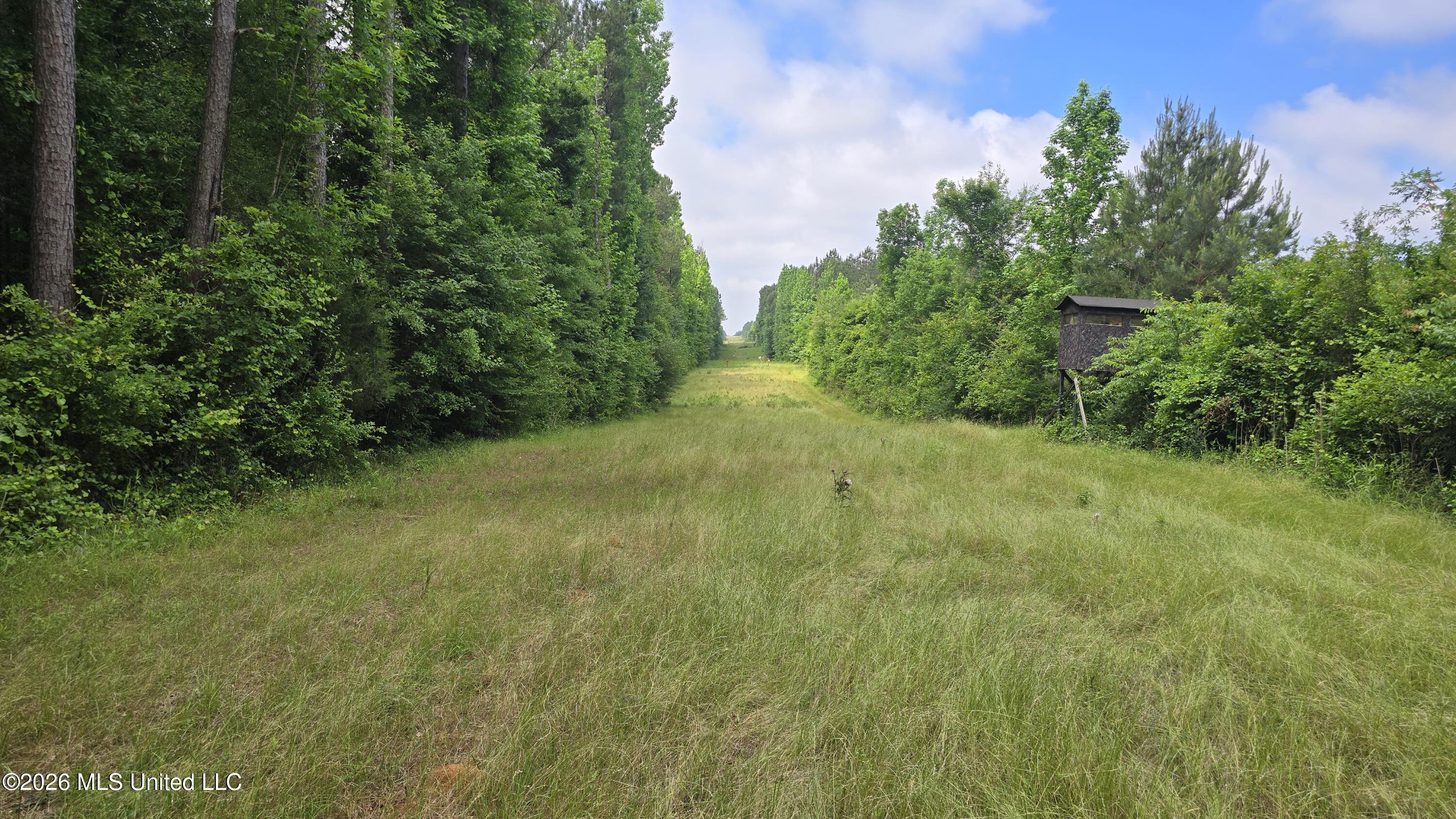 189 Co Road Bay Springs, MS 39422 - Photo 31 of 61 20260513_105325
