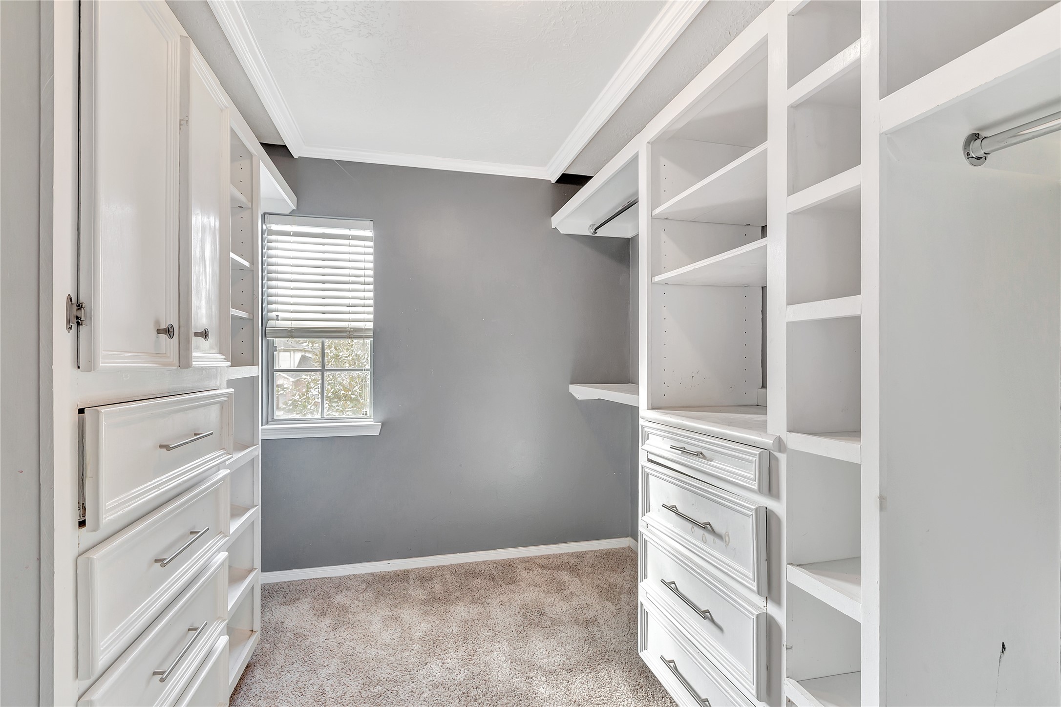 1007 Addison Park Lane Spring, TX 77373 - Photo 16 of 24 Discover the elegance and functionality of this primary walk-in closet, featuring ample shelving and drawer space, bathed in natural light for a perfect blend of style and practicality.