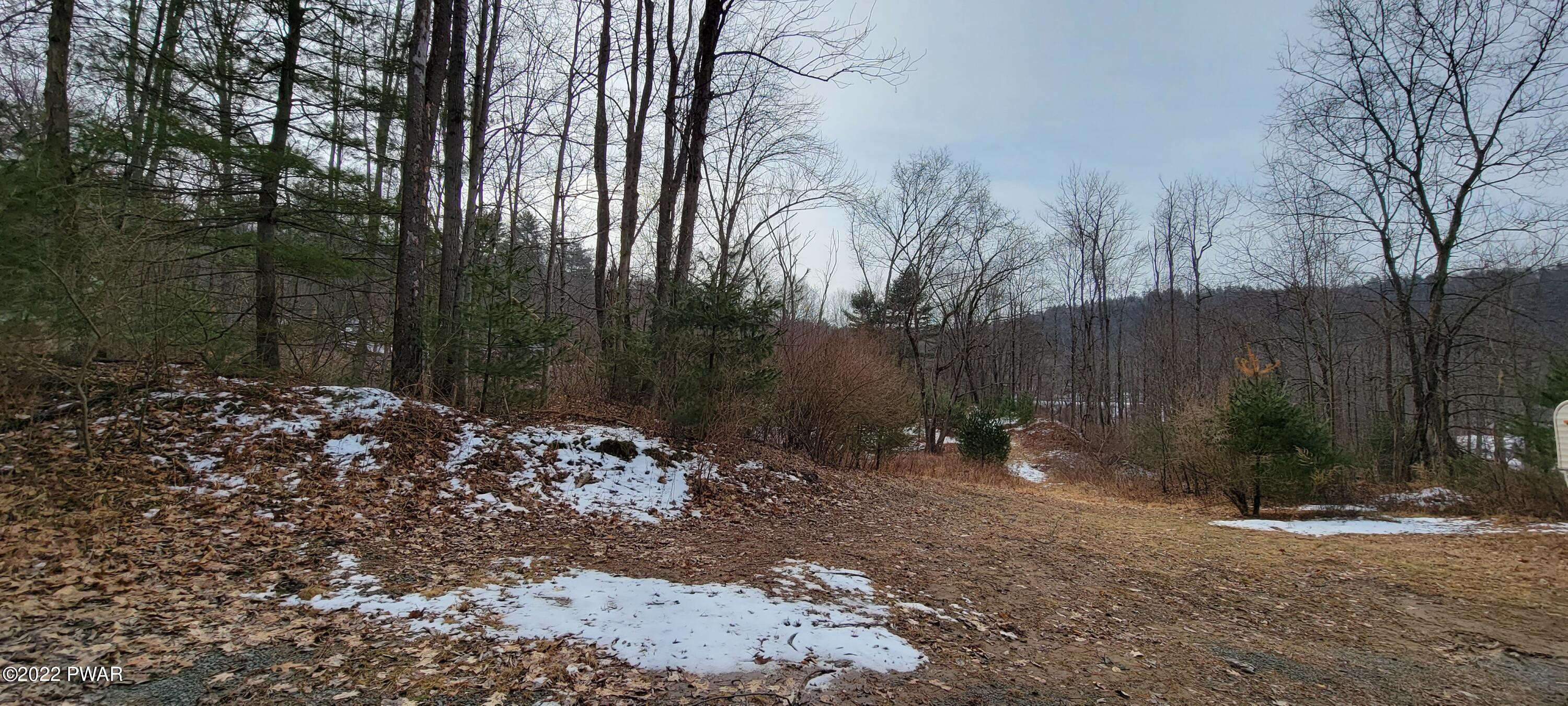 Lot 5.2 Humphrey Road Narrowsburg, NY 12764 - Photo 27 of 51