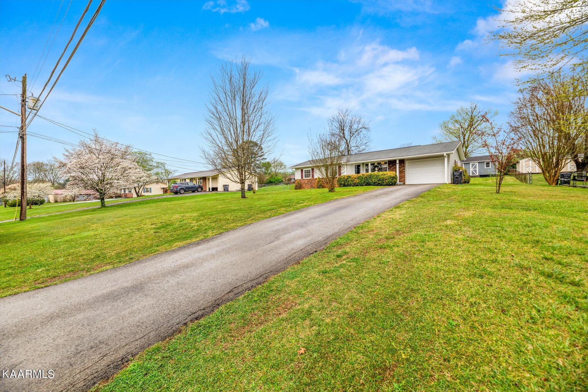 3205 Lafayette Road Knoxville, TN 37921 - Photo 2 of 19 Long driveway