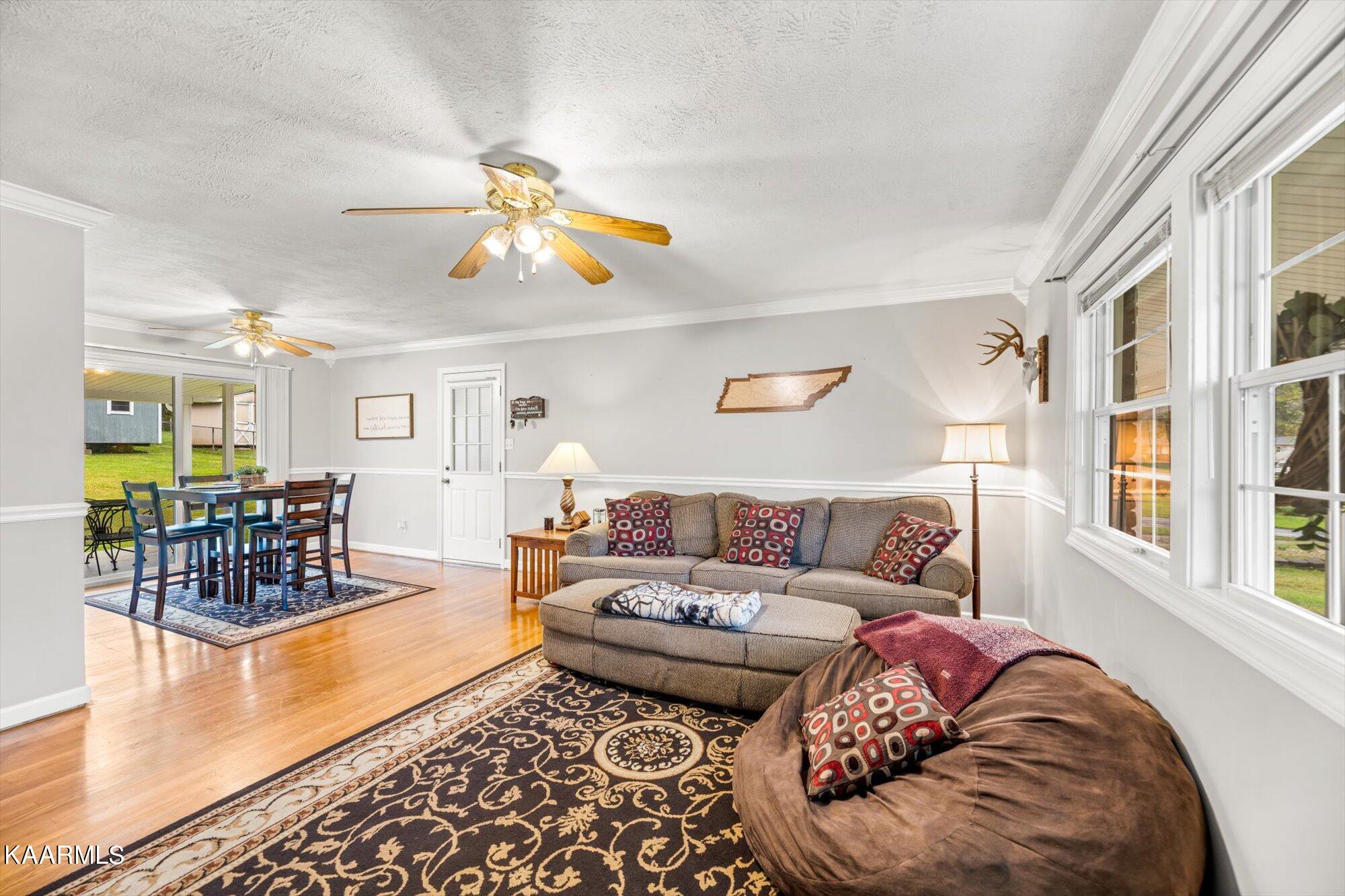 3205 Lafayette Road Knoxville, TN 37921 - Photo 3 of 19 Roomy living room with natural light